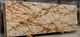 IVORY BROWN